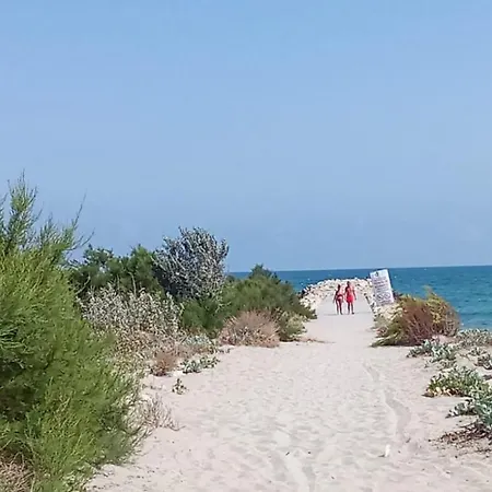 Budget 2br Near & Center Apartment