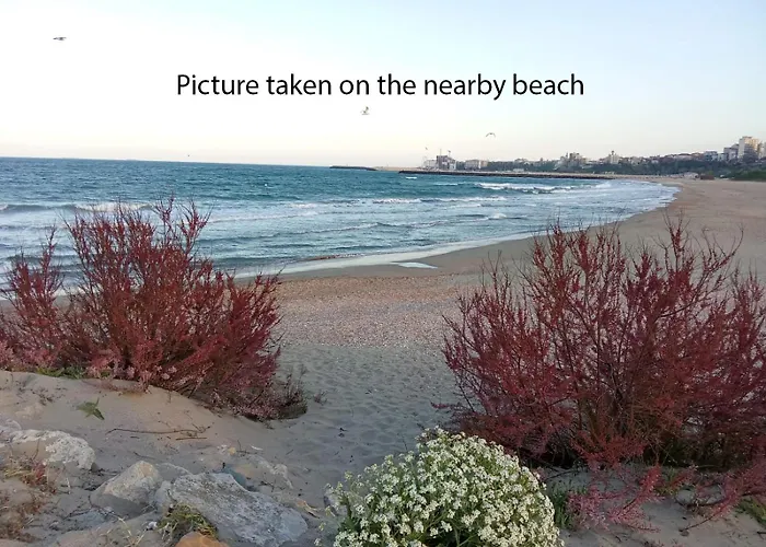 Budget 2br Near & Center Apartment Constanţa