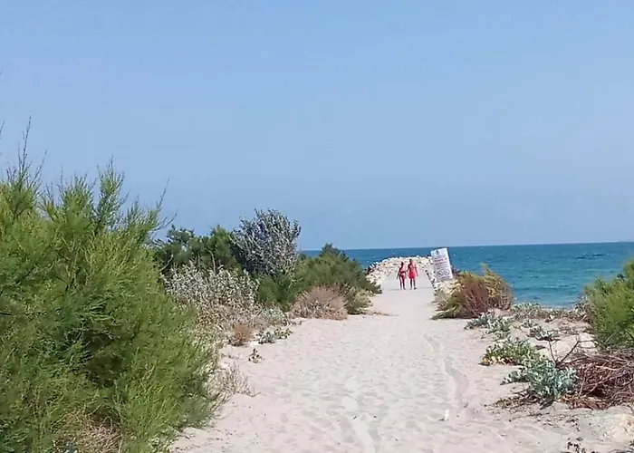 Budget 2br Near & Center Apartment