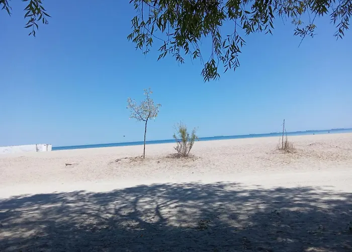 Budget 2br Near & Center Apartment Constanţa